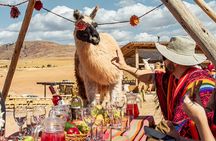 Picnic with Llamas and Chinchero, Moray and Maras