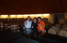 Clos Apalta and VIK Winery Private Experience with Lunch