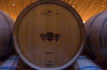 Clos Apalta and VIK Winery Private Experience with Lunch