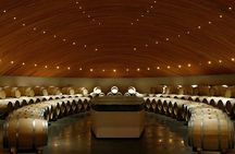 Clos Apalta and VIK Winery Private Experience with Lunch