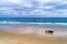 Far North New Zealand Tour Including 90 Mile Beach and Cape Reinga from Paihia