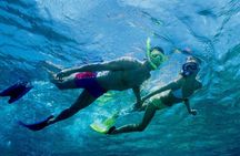 Snorkeling and Sightseeing at Cham Island From Hoi An / Da Nang