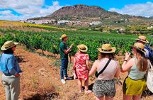 Málaga Small‑Group Wine Tour – Álora Castle Views & 4 Tastings