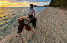 Scenic Sunset Horse Rides on the Beach in Koh Samui