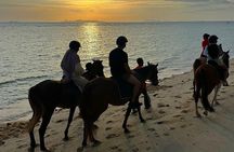 Scenic Sunset Horse Rides on the Beach in Koh Samui