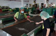 Authentic Sri Lankan Villages Private Guided Tour with Lunch