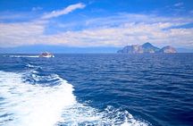 Yilan Whale Watching and Animal Farm Private Tour from Taipei