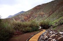 Nature and Culture Tour in Candelaria La Laguna and Anaga