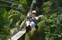Private Tour in Roatán with a Professional Guide