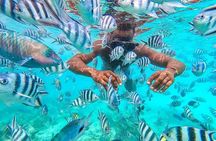 Private Mnemba Island and Turtle Aquarium Tour 