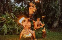 Oahu Explorer Pass: Save up to 50% - Includes Waikiki Cruise