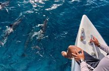 Oahu Explorer Pass: Top Things To Do including Waikiki Cruise