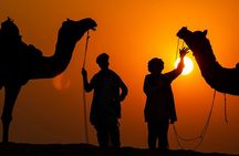  Pushkar: Private Guided day tour From Jaipur 