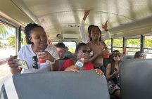 Junkanoo Bus Tour