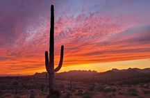 After Dark Desert Tour and Navigating the Night Sky