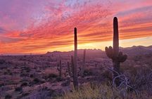 After Dark Desert Tour and Navigating the Night Sky