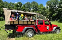 2.5-3 hour Smoky Mountain Cherokee Blue Ridge Parkway Safari tour