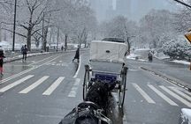NYC Empire State Horses Carriage Ride in Central Park(55 Min)