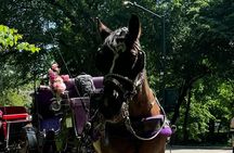 NYC Empire State Horses Carriage Ride in Central Park(55 Min)