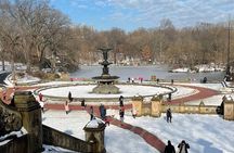 NYC Empire State Horses Carriage Ride in Central Park(55 Min)