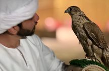 Desert Safari with Dune Bashing and Camel Ride plus Sand Boarding