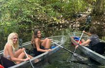 Gator Viewing Clear Kayak Springs Tour