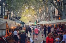 1.5h Private Old Town Tour optional Zoo/Aquarium Tickets