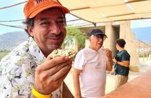 Agave Adventures Mexico