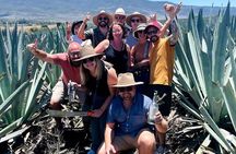 Agave Adventures Mexico