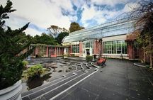 Auckland Half Day Tour Through Urban Wonders