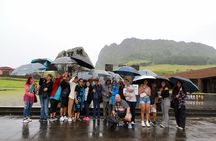 Jeju bus tour with professional English guide for cruise customer
