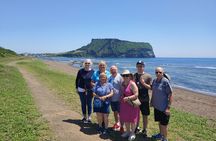 Jeju bus tour with professional English guide for cruise customer