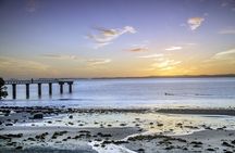 Auckland Half Day Tour Through Urban Wonders
