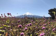 From Tokyo: Mount Fuji, Cruise and Sake Tasting Tour