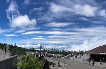 From Tokyo: Mount Fuji, Cruise and Sake Tasting Tour