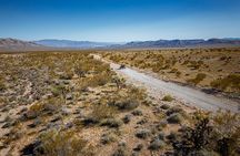 Pioneer Desert Adventure at the Historic Pioneer Saloon!