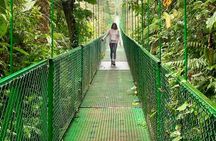 2x1 Guided Tour Combo Hanging Bridges and Night Walk