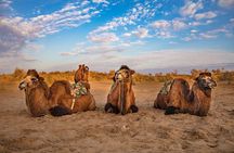 Transfer from Khiva to Bukhara by Fortresses