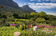 Private Tour of Constantia Wine & Kirstenbosch Gardens Experience