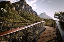 Private Tour of Constantia Wine & Kirstenbosch Gardens Experience
