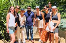 From Kandy to sigirya day tour bay car and van 