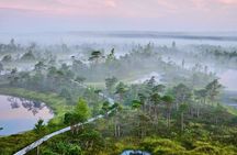 Ķemeri Great Bog Discovery With Optional Sunrise & Jūrmala Visit