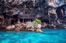 Phi Phi Islands Speedboat Tour: Khai & Maya