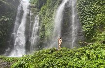 Experience Private Bali Northern Trip at North Waterfall