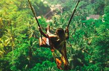 Experience Private Bali Northern Trip at North Waterfall