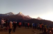 Pokhara Group Joining Sarangkot Sunrise Himalayas Tour
