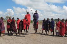 6 Days Shared Safari Tour To Masai Mara, Lake Nakuru and Amboseli