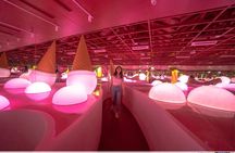 Singapore Museum of Ice Cream E-Ticket