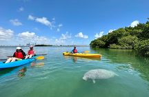 Private Guided Kayak or SUP Eco Adventure
