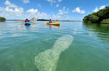 Private Guided Kayak or SUP Eco Adventure